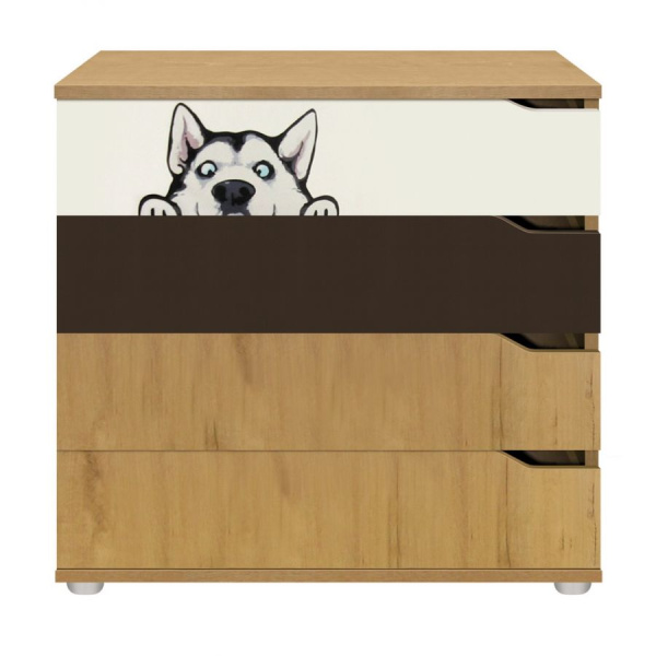 Фрэнд Комод (Дуб Бунратти/Дуб Бунратти/Белый/Скала/фото